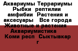 Аквариумы.Террариумы.Рыбки, рептилии, амфибии. Растения и аксесуары - Все города Животные и растения » Аквариумистика   . Коми респ.,Сыктывкар г.